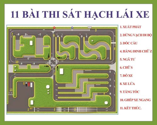 11 bài thi trong sa hình.